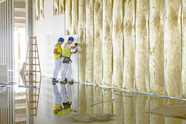 Best Eco-Friendly or Green Insulation Solutions  in Walnutport, PA